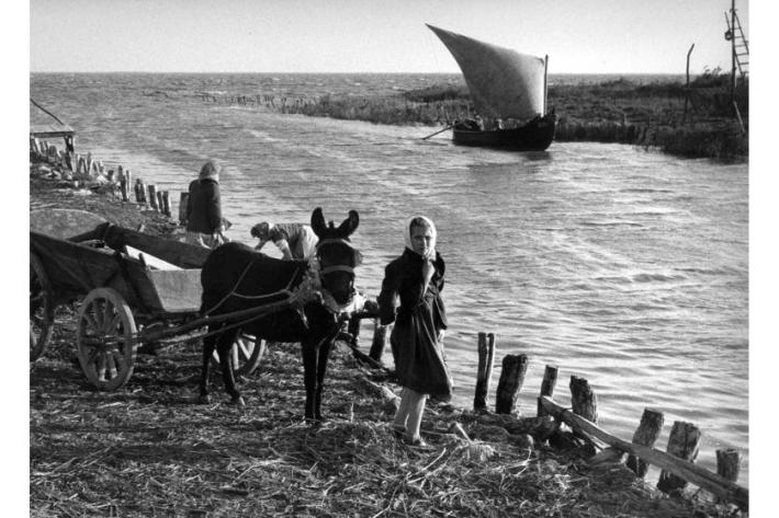 Danube by Inge Morath