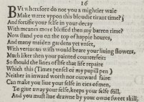 William Shakespeare, 16th Sonnet